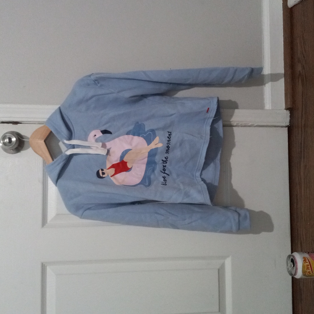 Baby blue crop top hoodie